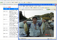 �މʍX�V�V�X�e��